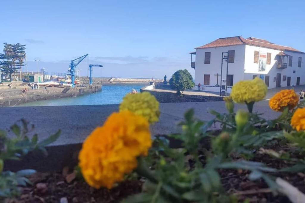 Centrico Y Encantador Estudio En Puerto De La Cruz 外观 照片